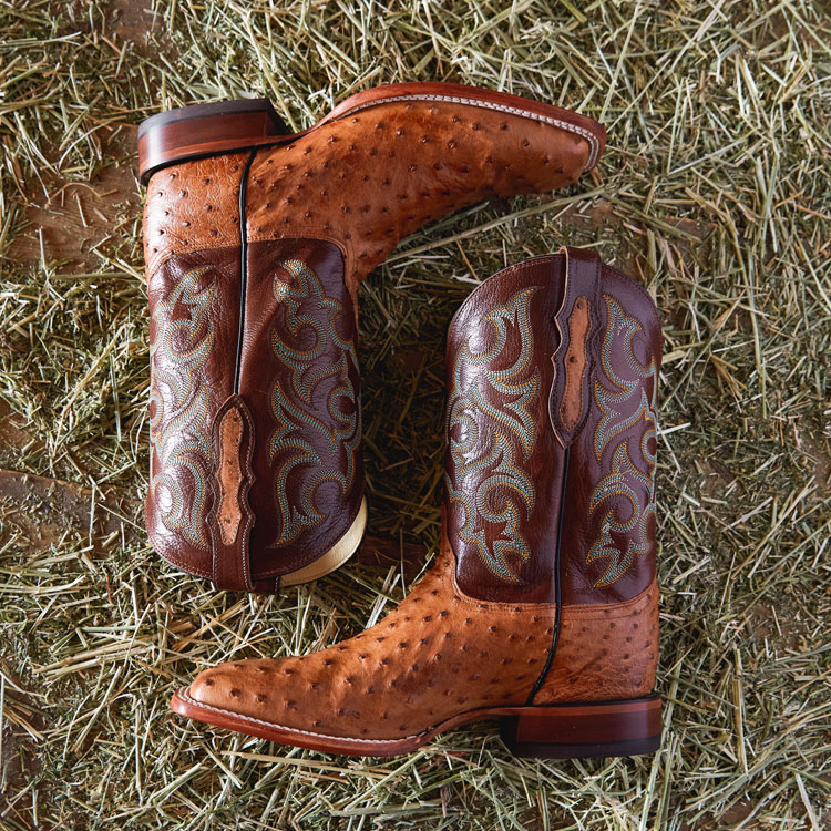 Truman 11" Full Quill Ostrich in dark and light brown.