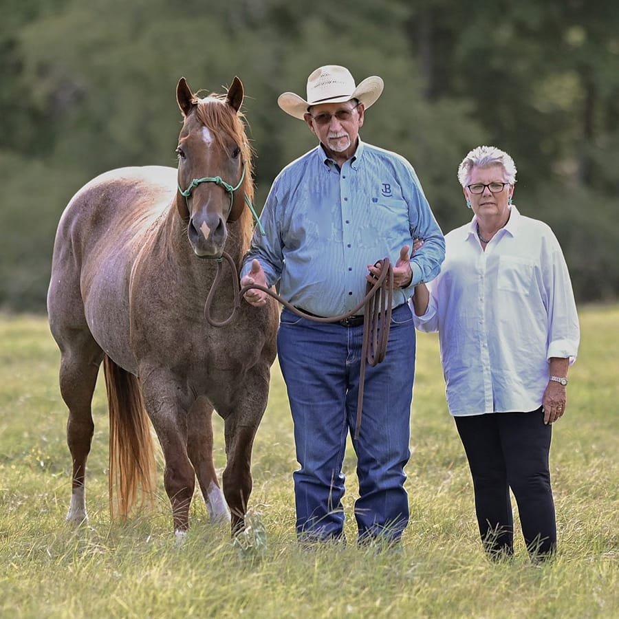 An older couple and a horse standing in an open grassy field.