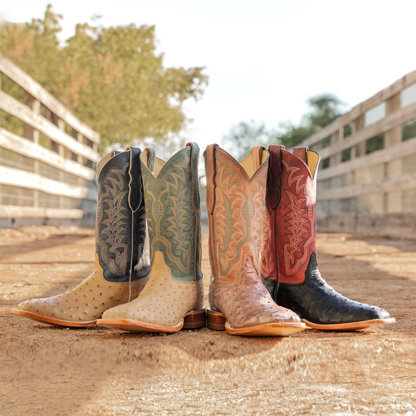 The Chisolm 13" Full Quill Ostrich western boot in Vintage Tan, Antique Saddle (tan), Shadow Black, and Rum Brown on a ranch.