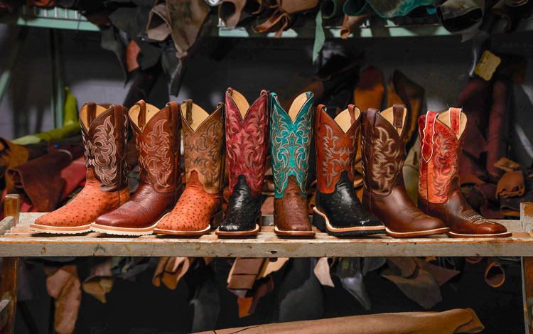 A fan image of AQHA-styled boots posed in front of different types of boot leathers.