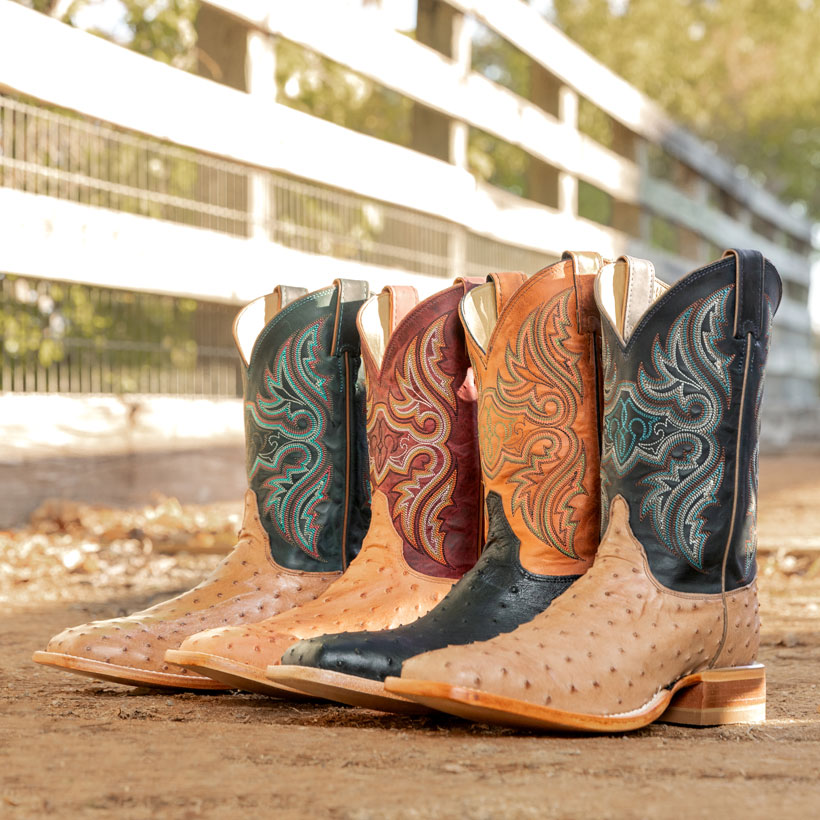 Four styles of the Moseley 11" cowboy boots in ostrich leather with colorful stitched shafts in various color combinations lined up by a fence.