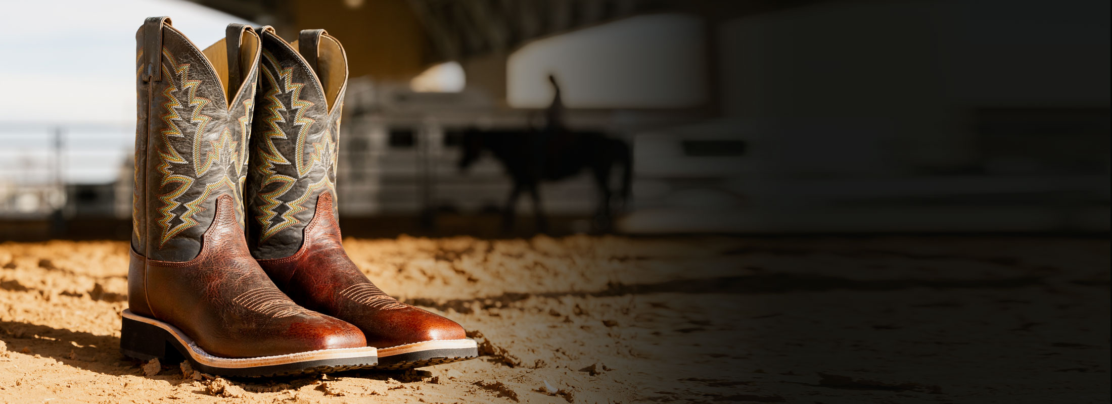Men’s Trainor 11” Western boots in brown, sitting in dirt with the sun shining on the boots.