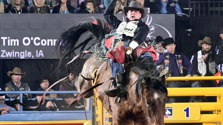 Tim O'Connell montando un caballo a pelo de la bahía en el NFR 2018.