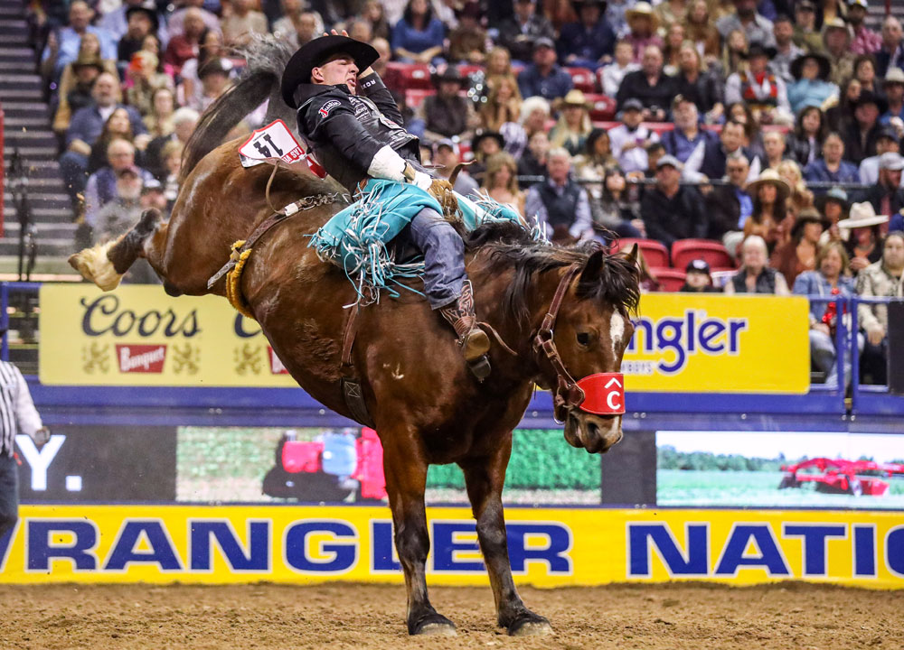 A Cowboy, Jess Pope, wearing turquoise fringe chaps with a black felt cowboy hat, riding a brown bareback bronc horse at the NFR with fans in the crowd.