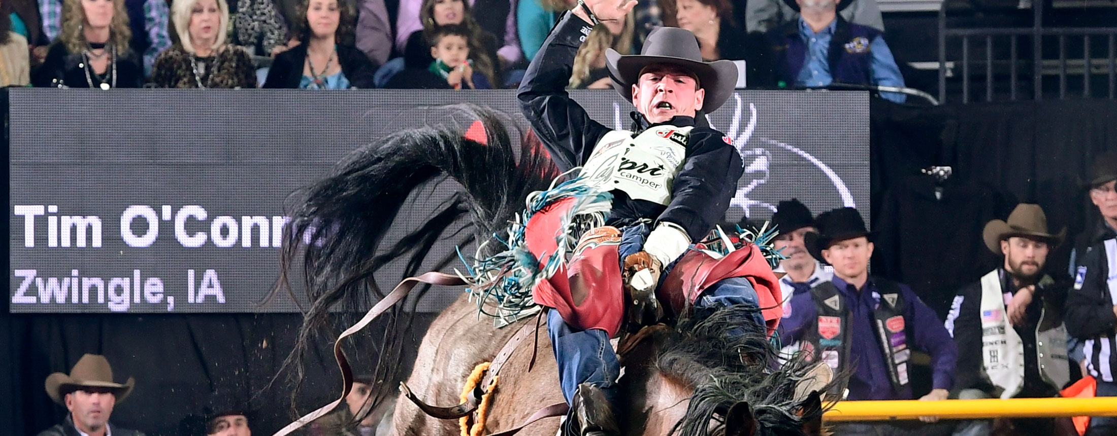 Tim O'Connell montando un caballo a pelo de la bahía en el NFR 2018.